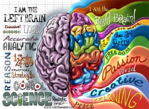Image caricaturale de la différence cerveau gauche / cerveau droit - synesthésie synesthésie