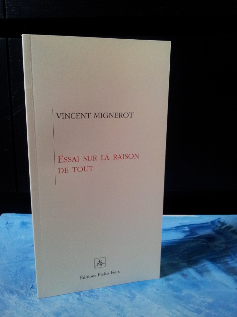 Essai sur la raison de tout